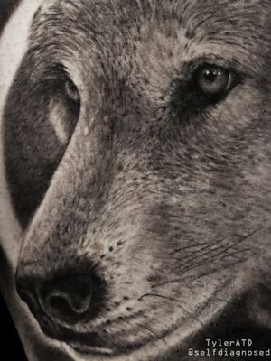 wolf tattoo portrait
