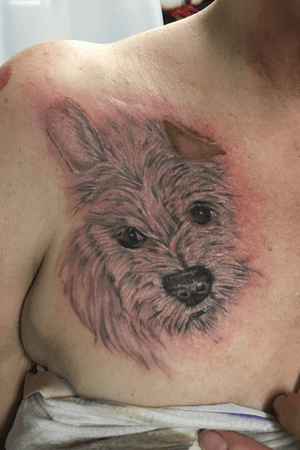 #dog #portait #tattoo #tattoos #tattooartist 