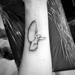 Tattoo colombe