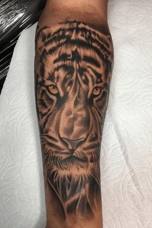 Tiger done in 2 seperate sessions