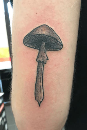 #mushroom 