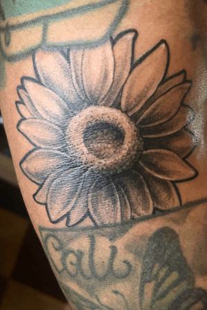 SunFlower #sunflowertattoo #sunflower #pointilism #wipshading instagram @_tattoosbyloco