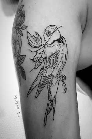 Passarinho da incrível @carolwanie! 😍😍✍️🐥Faça já seu orçamento! (62) 9 9326.8279#tattoo #ink #blackwork #tattoolife #Tatuadouro #love #inkedgirls #Tatouage #eletricink #igtattoo #fineline #draw #tattooing #tattoo2me #tattooart #instatattoo #tatuajes #blackink  #neotraditional #neotradeu #neotraditionaltattoo #birdtattoo #birds #swallow #flashtattoo #tatuagemfeminina 