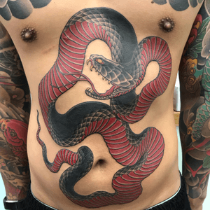 #snake #frontpiece 