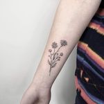 Minimalistic flowers 🌿✨ More works on my instagram : @nikita.tattoo #tattooartist #tattooart #linework #lineworker #lineworktattoo #thinlinetattoo #fineline #dotwork #flowertattoo #minimalistictattoo #tattooideas #minimalism #minimalistic #floraltattoo #cornflower #cornflowertattoo 