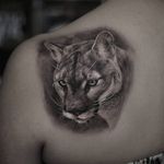 Tattoo by Stefano Alcantara #StefanoAlcantara #realisticanimaltattoos #realisticanimal #realistictattoo #animal #animaltattoos #nature #lion #cat #kitty #junglecat #illustrative #Blackandgrey