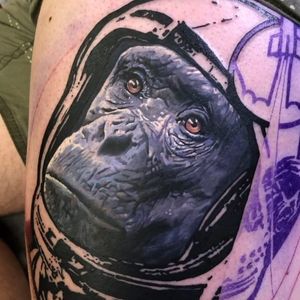 Tattoo by Chris Rigoni #ChrisRigoni #realisticanimaltattoos #realisticanimal #realistictattoo #animal #animaltattoos #nature #color #chimp #chimpanzee #monkey #astronaut