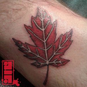 Maple leaf on calf...#mapleleaf #red #canada #culture #graphic #design #illustrative #narrator #art #autumn #calftattoo #byjncustoms