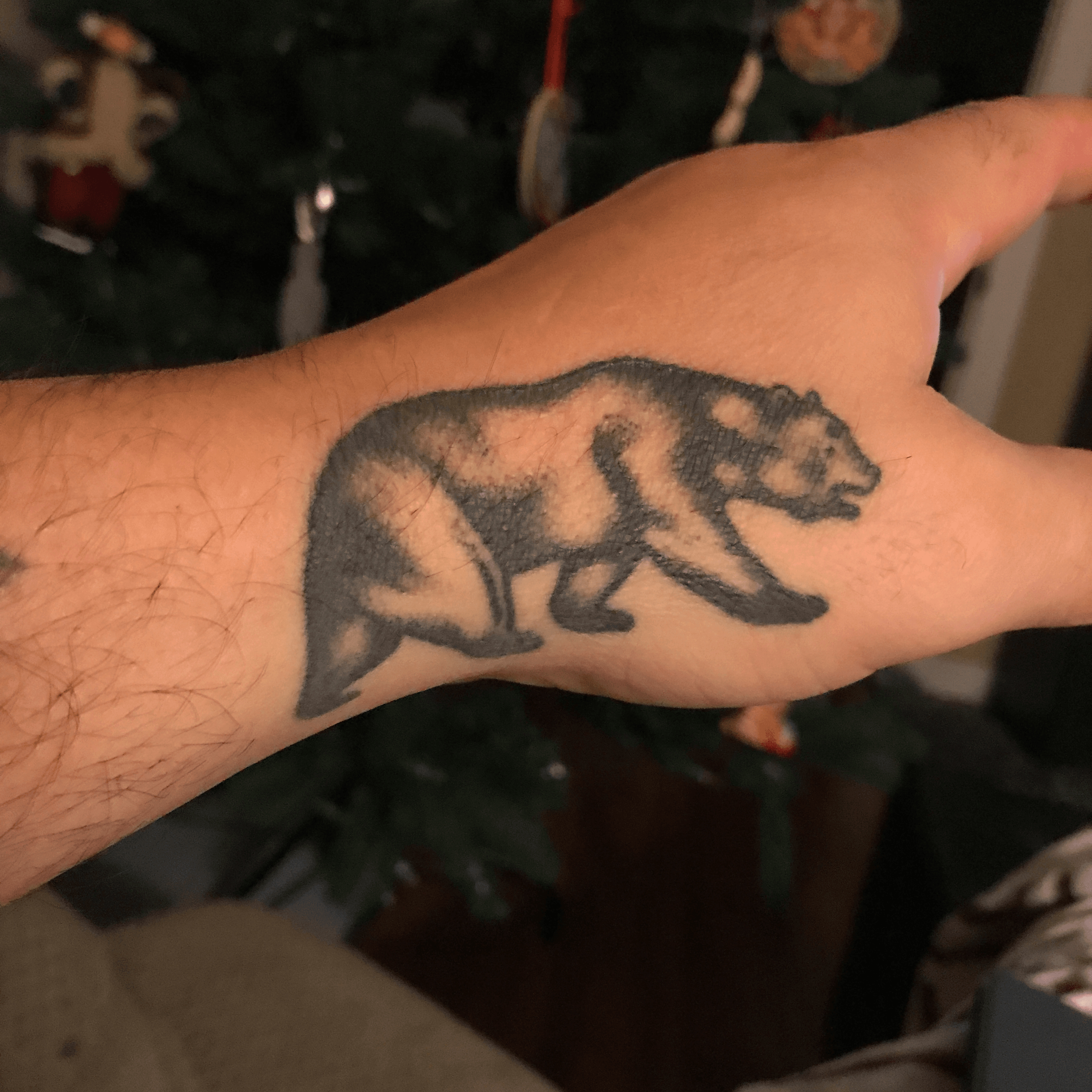 Buy Galaxy Polar Bear Temporary Fake Tattoo Sticker set of 2 Online in  India  Etsy
