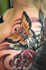 Some butterflies and flowers