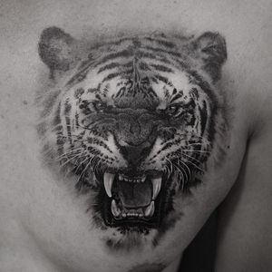 Tattoo by Cold Gray #ColdGray #realisticanimaltattoos #realisticanimal #realistictattoo #animal #animaltattoos #nature #blackandgrey #tiger #junglecat #cat #kitty