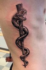 Rod of asclepius..a lot of fun today