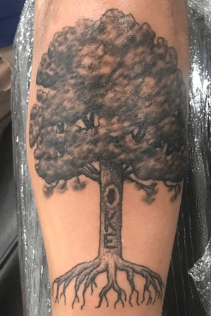 My first Tattoo. My last name is Oke so one of my nicknames my whole life has been Oak tree.