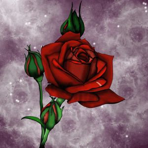 #rose and #galaxy #design 