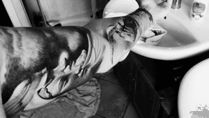 #blackandgrey #religious #sleeve #ink #realism #stuttgart #tattooart #inked #
