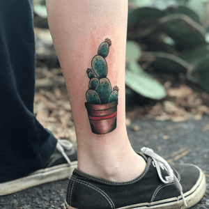 #cactus #cactustattoo  #traditional  #neotraditional 