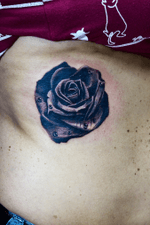 #rose #blackrose #rosetattoo #thiagopadovani