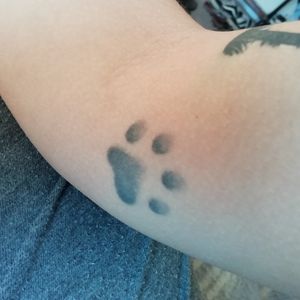 the second tattoo I got was this dog's paw. it's really small and near my elbow.also done in 2014, 6 months after the first one. by a professional who worked at Bang Bang Studio in Sintra, Portugal#dogpaw #smalltattoo #minimalistic 