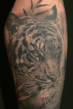  #tattoo #nofilter #kölntattoo #colognetattoo #coelntattoo #köln #cgn #jangoscoelntattoo #bngtattoo #realistictattoo #jangobruce #abstractsilvertattoosupply #blackandgrey #blackandgreytattoo #blackandgreytattoos #tattooartist #tattooartistmag #inked #inkaddict #tigertattoo #tiger 