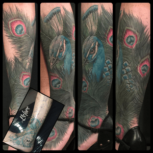 #peacock #peacocktattoo #peacockfeather #tattoo #nofilter #kölntattoo #colognetattoo #coelntattoo #köln #cgn #jangoscoelntattoo #jangobruce #abstractsilvertattoosupply #tattooartist #tattooartistmag #inked #inkaddict #coveruptattoo #coverup
