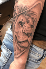 #lion #animal #liontattoo #3rlonly #bng #bngsociety 