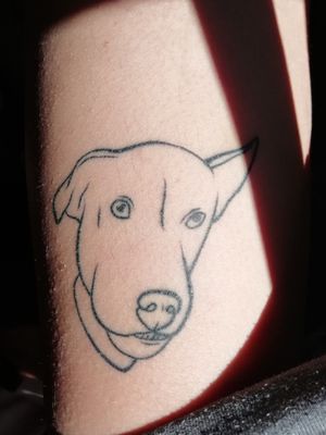 my most recent tattoo from 4 months ago@ Peniche, Portugal#dog #portrait #minimalistic 