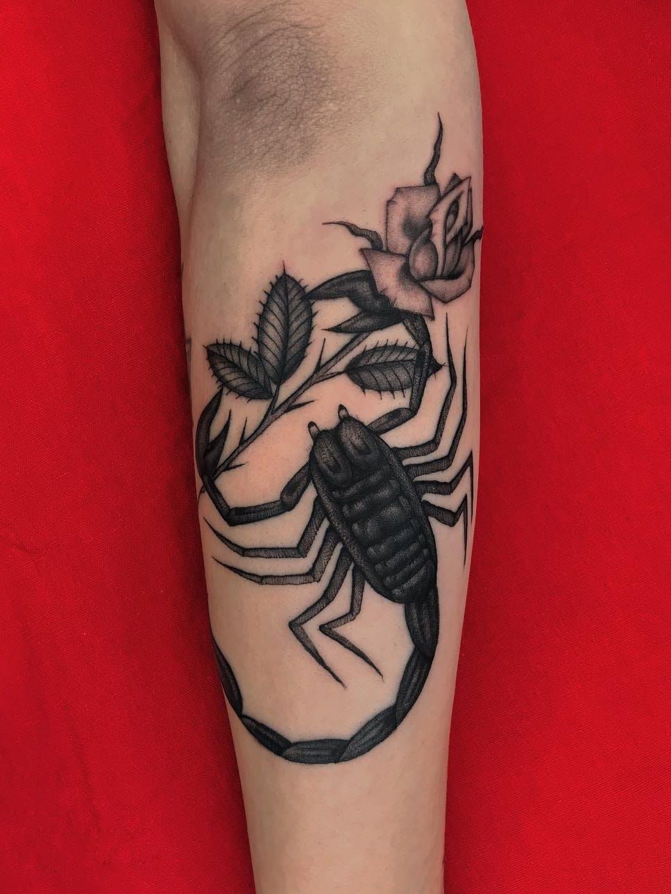 Scorpion and red rose tattoo  Tattoogridnet