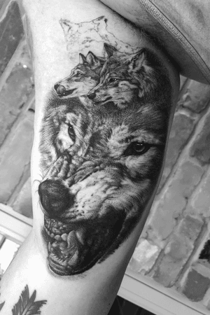 Black and grey, realistic, fine line, 3rl only, in progress wolf on inner bicep