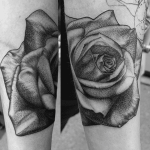 Realistic, black and grey, fine line, rose