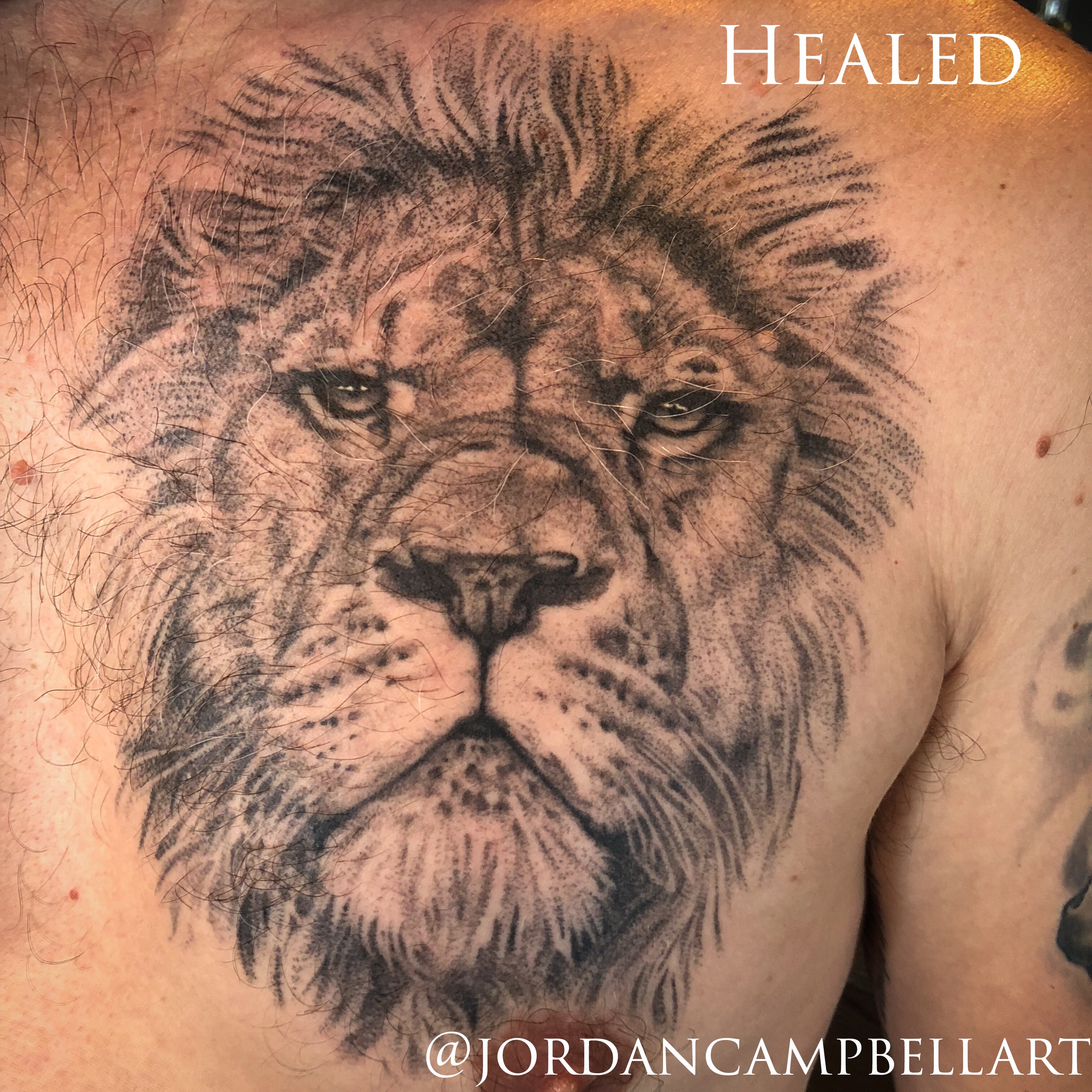 Top 51 Realistic Lion Tattoo Ideas  2021 Inspiration Guide