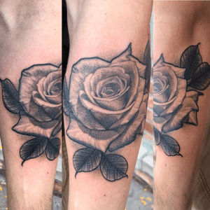 Black and grey fine line 3rl only realism rose on forearm