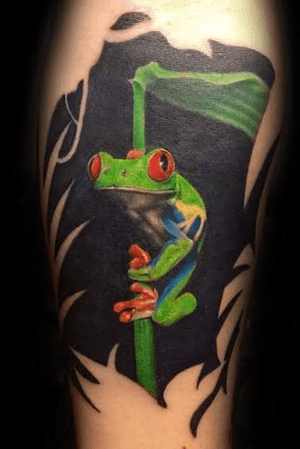 #frog #realism 
