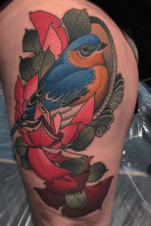 Bluebird And roses. At the dc expo