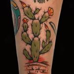 Tattoo by Alex Zampirri #AlexZampirri #cactustattoos #cactus #desert #plant #nature #color #traditional