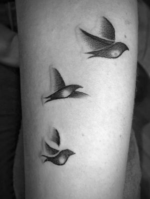#black #inked #birds #whipshading #tattoo 