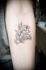 #fineline #jasmine flowers on the forearm #delicatetattoo 