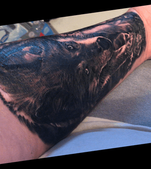 Realism wolf done by Adrain Flores of All Star Tattoo 