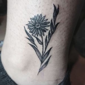 #flower #floraltattoo #tattoo #ink #inked #black #blackink #flowertattoo #whipshading #dotwork