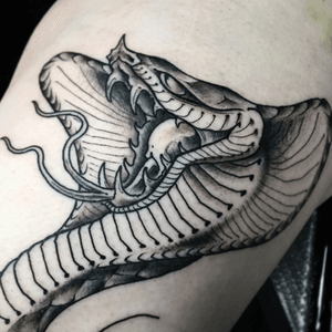 In progress covra head #tattoo #japanese #snake #blackandgrey 