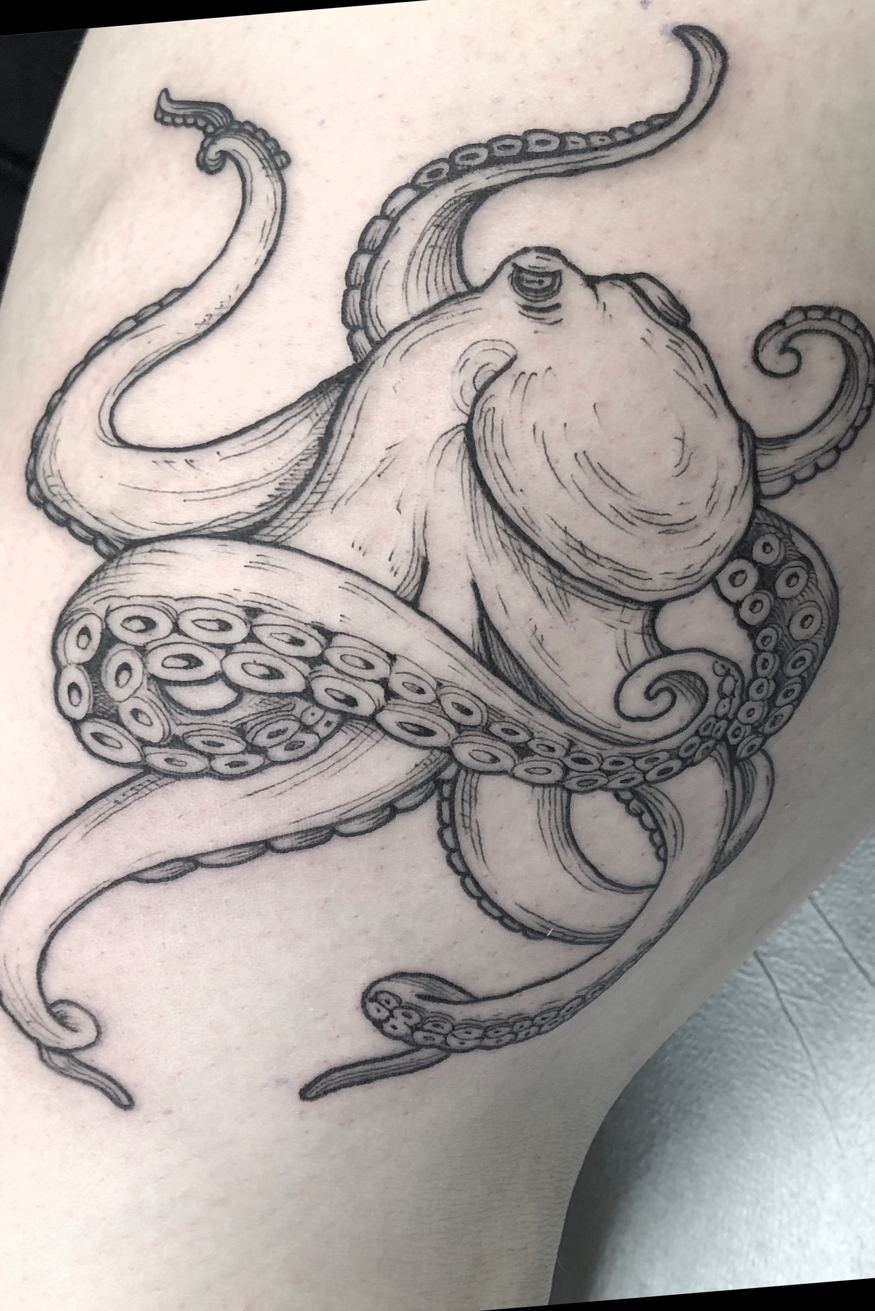 Explore the 27 Best octopus Tattoo Ideas (2019) • Tattoodo