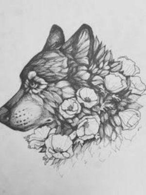 #wolf #blackandgrey 