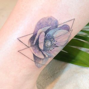 anemone @tattooing_nature #tattooingnature #tattooistjayeon #korea #koreatattoo #flower #cat #geomatic #fineneedle #seoul #hongdae #iteawon #nature 