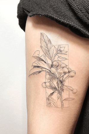 @tattooing_nature#tattooingnature #tattooistjayeon #korea #koreatattoo #flower #cat #geomatic #fineneedle #seoul #hongdae #iteawon #nature #flowertattoo 