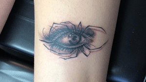 Spider eye
