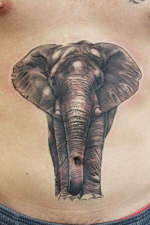 Realistic Elephant for my daughter