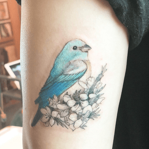 @tattooing_nature#tattooingnature #tattooistjayeon #korea #koreatattoo #flower #cat #geomatic #fineneedle #seoul #hongdae #iteawon #nature #birdtatoo #bird