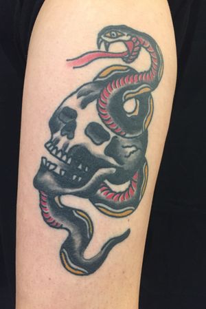 Healed snake skull!