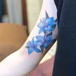 blue lily @tattooing_nature #tattooingnature #tattooistjayeon #korea #koreatattoo #flower #cat #geomatic #fineneedle #seoul #hongdae #iteawon #nature 
