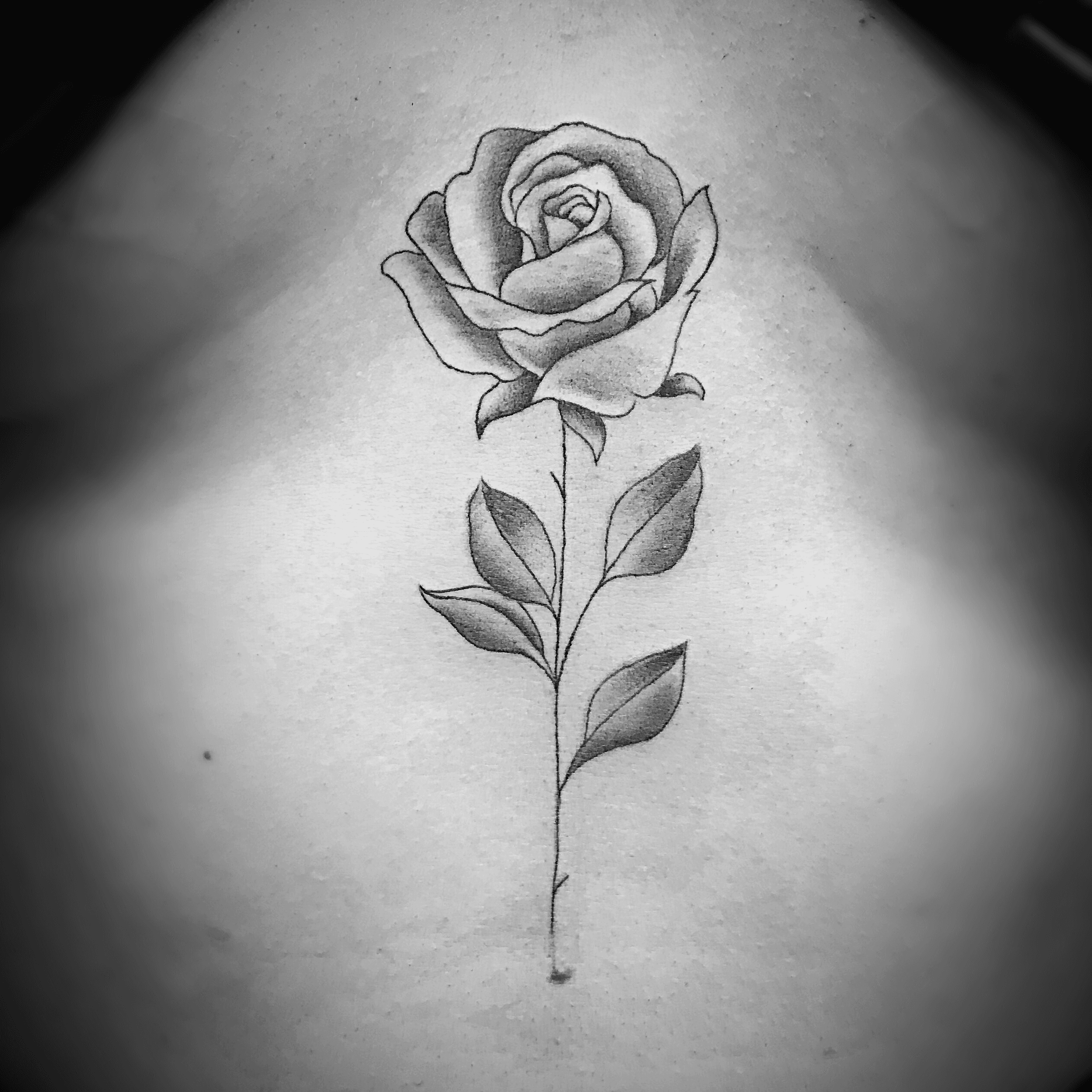 Single needle rose tattoo on James McVey  Single rose tattoos Rose tattoo  Best sleeve tattoos