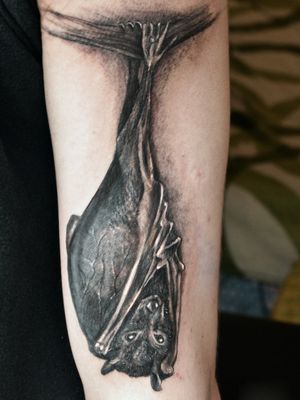 Bat tattoo #blackandgreytattoo #battattoo #tattoos 